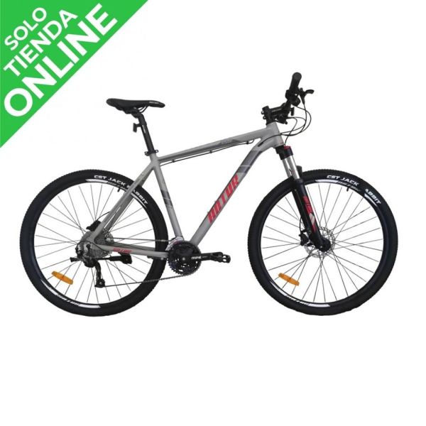 BICICLETA ANTUR 29 ULTRA 500 GRIS (L)