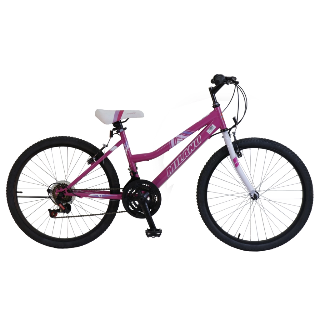 Bicicletas hites store aro 24