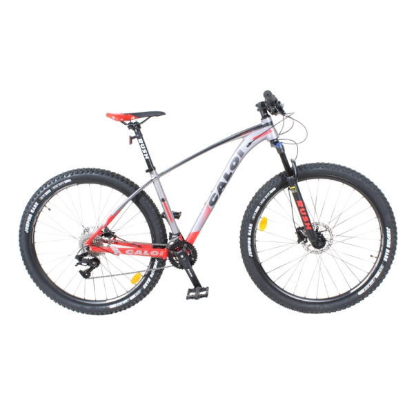 TUPI S.A. BICI CALOI ARO 29 GTX GRIS C ROJO M S DE 11 A OS